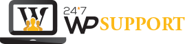 24x7 WP Support
